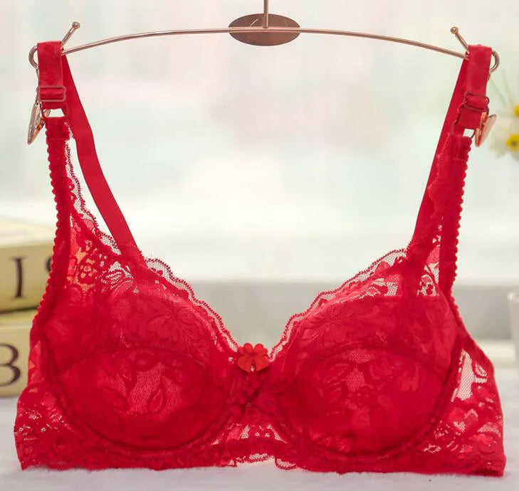 Sexy Lace Underwire Push Up Bra With Optional Pads